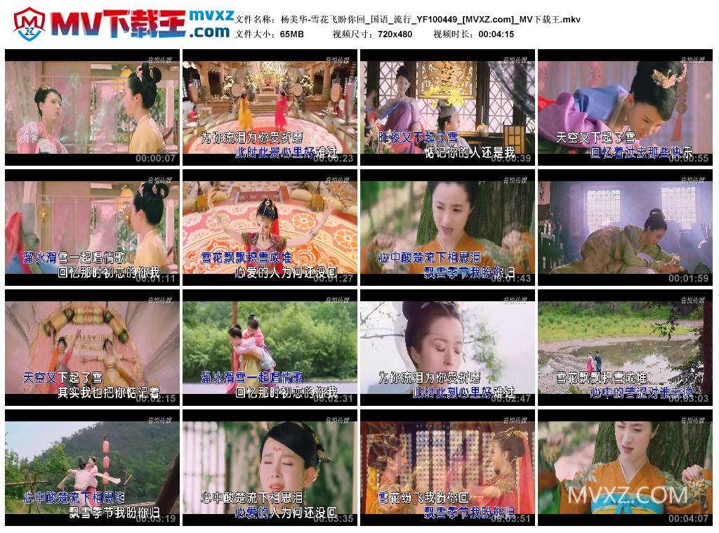 杨美华-雪花飞盼你回_国语_流行_YF100449